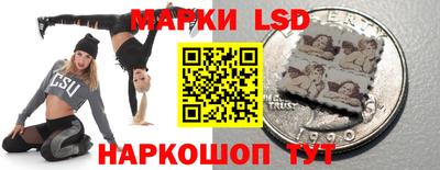 apvp Моздок